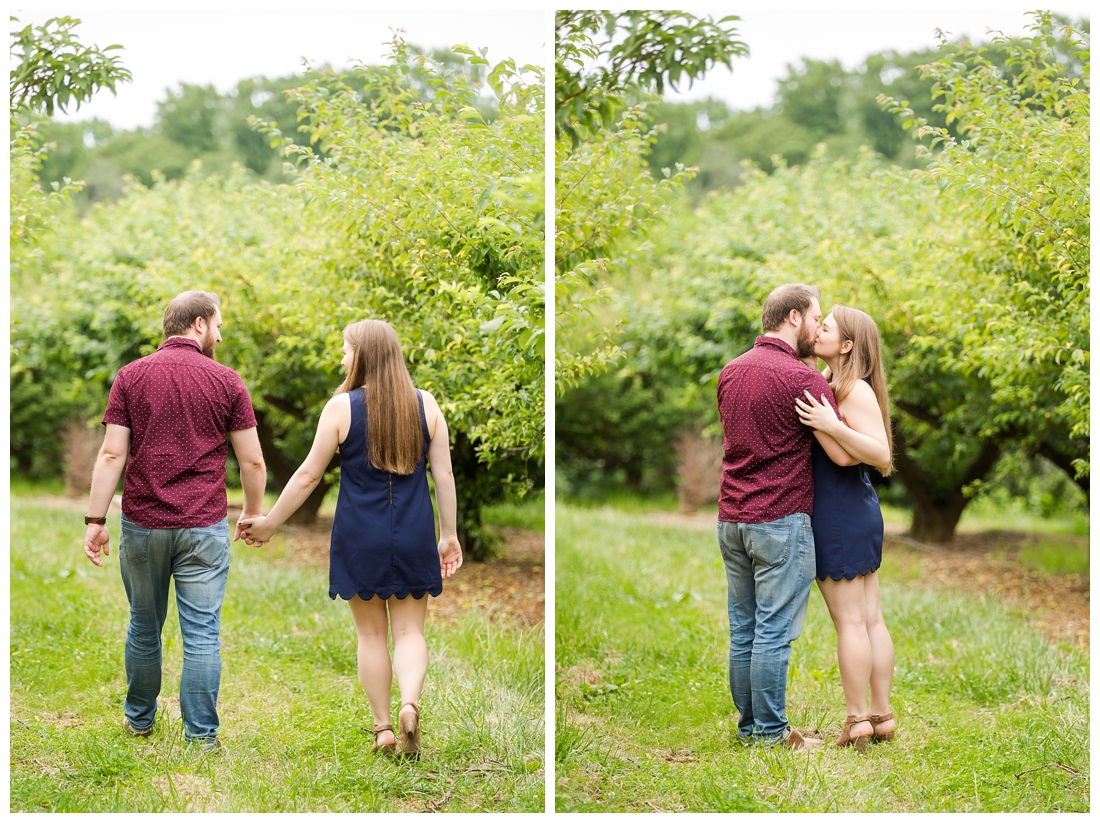 Woodbine Maryland Larriland Farm Engagement Photos. Baltimore Maryland Wedding photos. Cherry Tree walking engagement photos