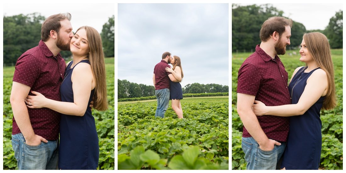 Woodbine Maryland Larriland Farm Engagement Photos. Baltimore Maryland Wedding photos. Strawberry field engagement photos. Engagement photos in a field.